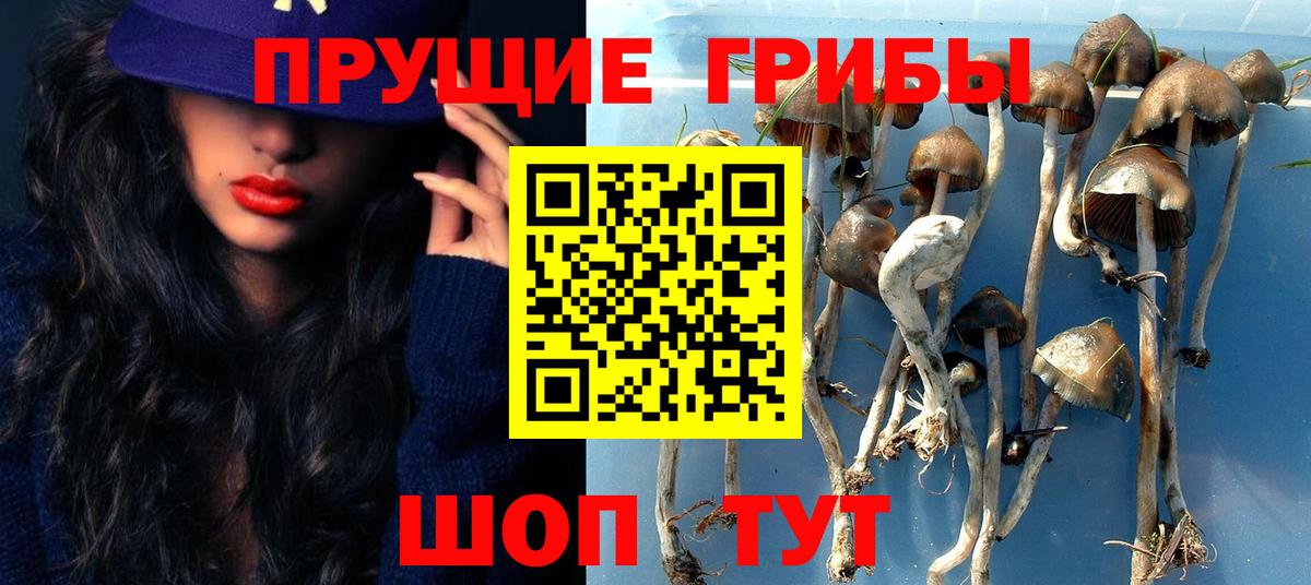 Псилоцибиновые грибы Magic Shrooms Балаково