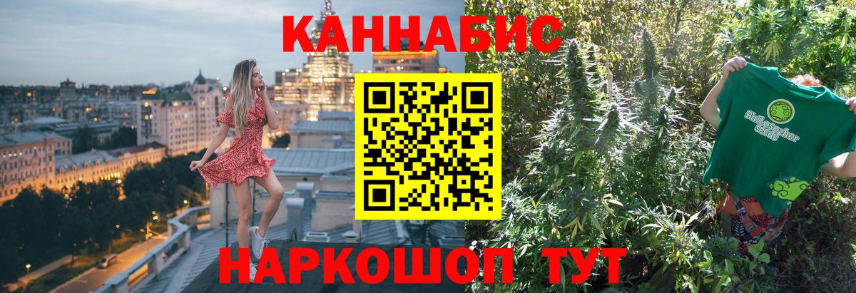 Бошки Шишки планчик Балаково